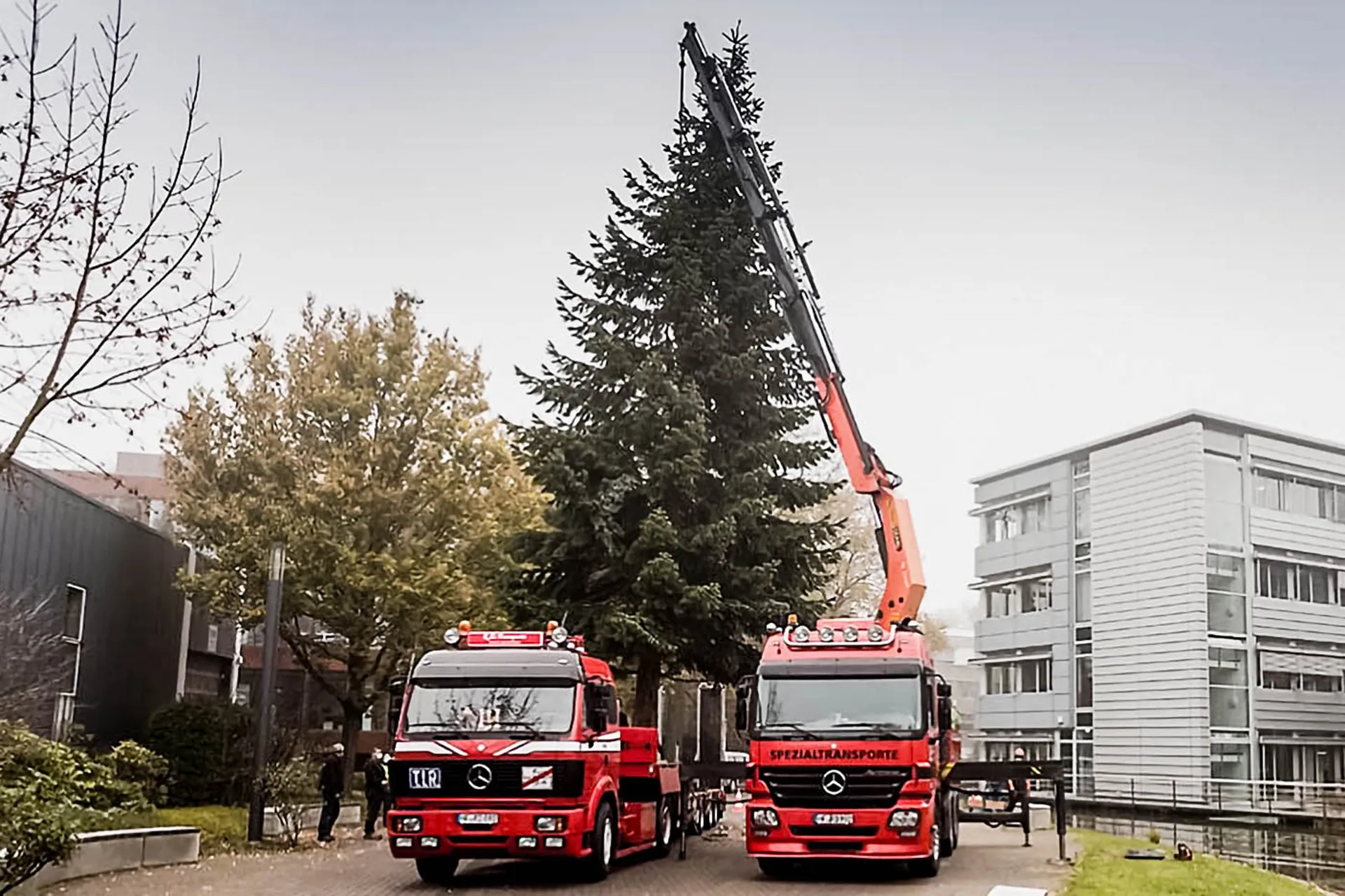 Zwei rote Spezial-LKW mit Ladekranen im Einsatz, einer mit voll ausgefahrenem Kranarm neben einer hohen Tanne vor einem modernen Bürogebäude.